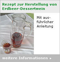 Rezept-Erdbeerwein