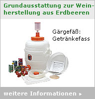 Grundausstattung zur Herstellung von Erdbeerwein