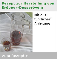 Herstellung-Erdbeer-Dessertwein