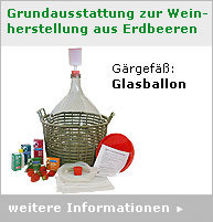 Ausstattung-Glasballon
